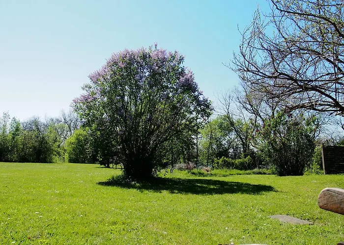 De Charme Au Bord Du Tarn Tatil Evi *